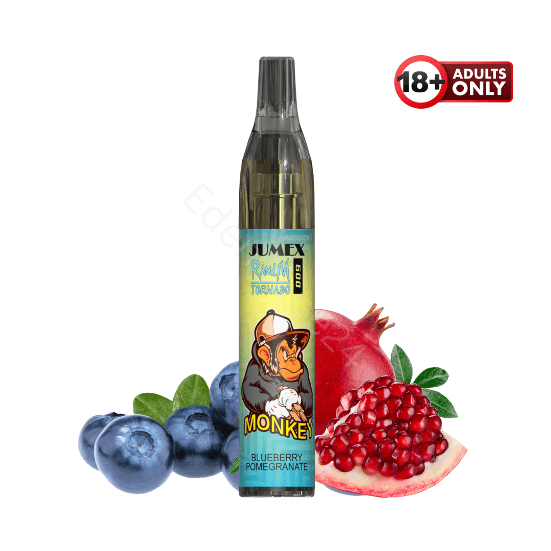 RandM Tornado 600 Fumot Vapes - Blueberry Pomegranate - EdenVape24